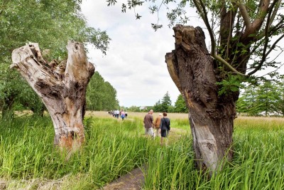 Covid-proof activities in Ghent part 2: time to enjoy nature!